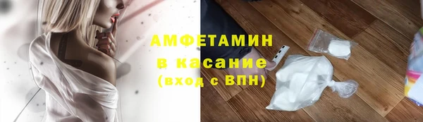 сатива Абаза