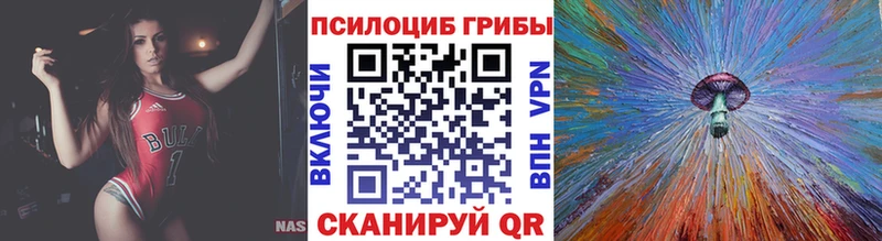 где купить   Белоусово  Галлюциногенные грибы MAGIC MUSHROOMS 